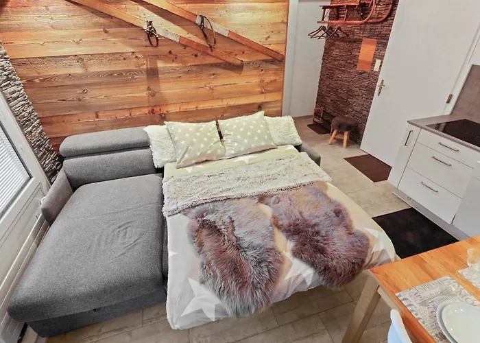 Cosy Au Centre De La Station Apartment *